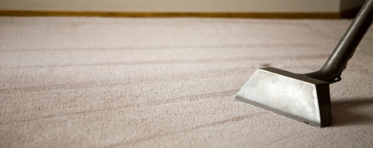 graphic image displaying Carpet Cleaning Company